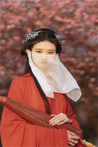 军婚七零：疯批糙汉拒绝离婚(苏卿婉霖霖)热门完本小说_最新好看小说推荐军婚七零：疯批糙汉拒绝离婚(苏卿婉霖霖)