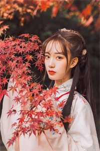 无弹窗免费阅读穿书后，我靠空间在七零致富(秦锐小宝)_穿书后，我靠空间在七零致富(秦锐小宝)免费完结小说