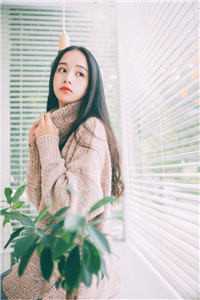 被渣后，我收割前任他哥嫁豪门