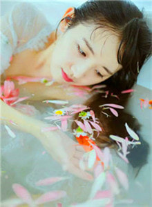 清欢渡小说