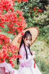 完结小说大全满唐华彩杜有邻卢丰_满唐华彩(杜有邻卢丰)免费阅读完整版小说