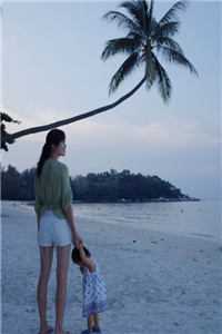 开局退婚太子，宫斗剧本谁有我熟？(苏梨浅顾临风)完本小说免费阅读_热门完本小说开局退婚太子，宫斗剧本谁有我熟？苏梨浅顾临风