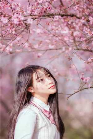 退婚后，豪门霸总追妻火葬场(秦战时楠)完整版小说全文免费阅读_完整版免费小说退婚后，豪门霸总追妻火葬场(秦战时楠)