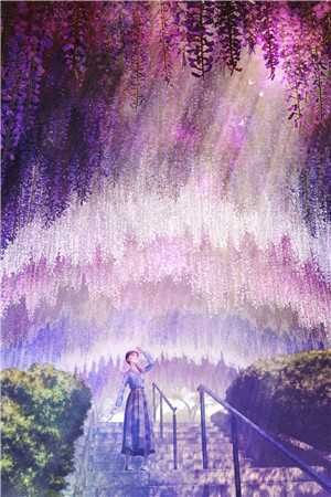 七零小军嫂在年代文里的发疯日常