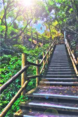 头七这天，校花把我召唤出来