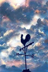 重生末世：空间在手，主打一个躺平