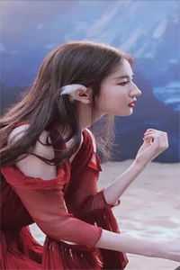 惹上情场浪子后，我成他的心尖宠(姜婉陆怀启)完整免费小说_完结小说推荐惹上情场浪子后，我成他的心尖宠(姜婉陆怀启)