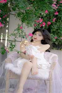 你一离婚律师，怎么尽干媒婆的活李杭陈丽芬最新全本小说_热门小说你一离婚律师，怎么尽干媒婆的活李杭陈丽芬