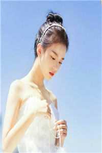 老子，你高攀不起陈婉儿叶凡免费小说免费阅读_最新好看小说推荐老子，你高攀不起(陈婉儿叶凡)