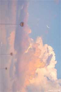 八零：浪子回头后他收获了美满人生(陆野陆零零)免费小说完结版_免费小说大全八零：浪子回头后他收获了美满人生(陆野陆零零)