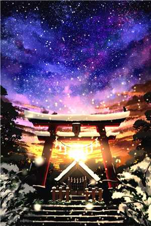 护国医婿