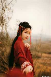 探花郎，悔婚后你可后悔？