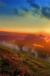 后悔的七夕陆谦和青梅热门小说大全_小说推荐完本后悔的七夕陆谦和青梅