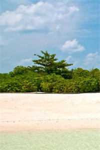 最新小说林舒沈华亭《重生后，冷情权臣甘为裙下臣全文阅读》完整版免费在线阅读_（林舒沈华亭）最新热门小说
