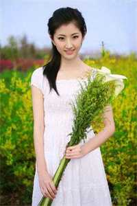 最新完本小说我离开后，绿茶青梅后悔了(夏歌沈安然)_我离开后，绿茶青梅后悔了(夏歌沈安然)免费小说在哪看