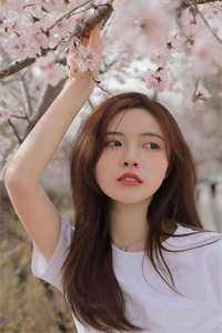 剑暮点灯人李如意苑苑完结版小说阅读_无弹窗小说免费阅读剑暮点灯人(李如意苑苑)