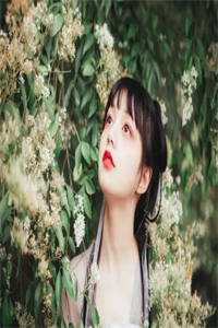 魂牵梦萦(姜浅陆清时)完整免费小说_最新完本小说魂牵梦萦姜浅陆清时