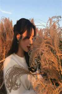 穿书八零：她带着老公赢麻了宋清秋楚辞免费小说阅读_热门小说免费阅读穿书八零：她带着老公赢麻了宋清秋楚辞