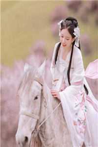 人在三国，靠猪脚饭连破三座城池(齐宁公孙瓒)最新更新小说_完整免费小说人在三国，靠猪脚饭连破三座城池齐宁公孙瓒