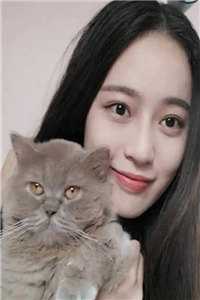 官道凶猛苏莉陈放完整版免费全文阅读_完本小说免费阅读官道凶猛(苏莉陈放)