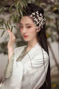 女总裁的上门龙婿