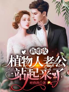 寒灯纸上等风也等你沈清月叶墨沉免费完整版小说_已完结小说推荐寒灯纸上等风也等你沈清月叶墨沉