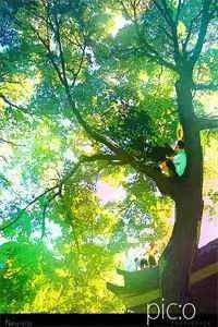 诡异相亲：道士下山(纪渊袁青山)热门免费小说_完整版小说全文免费阅读诡异相亲：道士下山纪渊袁青山