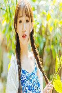表姑娘定亲后，清冷探花黑化了(沈昭月谢长翎)全文免费小说_最新小说全文阅读表姑娘定亲后，清冷探花黑化了沈昭月谢长翎