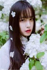 再无玫瑰