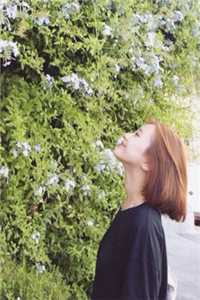 小说完整版霍爷别虐了，夫人已嫁他人了！苏夏霍枭_霍爷别虐了，夫人已嫁他人了！(苏夏霍枭)免费小说大全