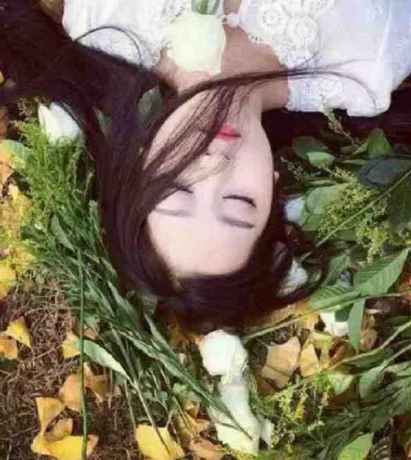 爆款热文全文快穿：为了活命，只好攻略女主(秦红衣沈书仇)最新章节免费在线阅读_《全文快穿：为了活命，只好攻略女主》全本阅读
