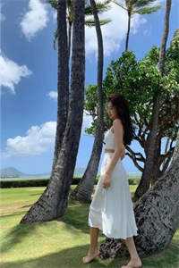 难敌情深似海陈默叶昭昭小说推荐完结_完本小说难敌情深似海(陈默叶昭昭)