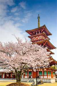 《老天师北出岐山，三千雪骑守大秦》嬴少伤李斯完结的小说_完整版免费阅读《老天师北出岐山，三千雪骑守大秦》嬴少伤李斯