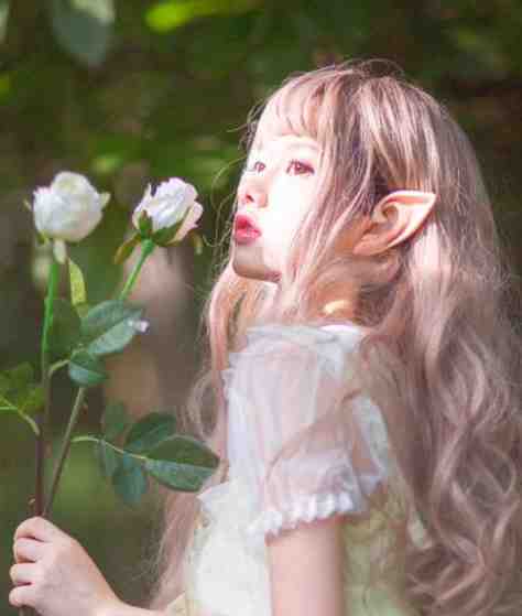 重生后，手撕竹马和哥哥捧在手心的毒莲花(冯嫣然林夏)免费小说_完结小说推荐重生后，手撕竹马和哥哥捧在手心的毒莲花(冯嫣然林夏)