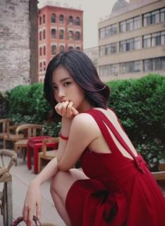 职业的情节