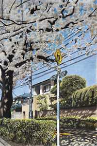 爱随风止