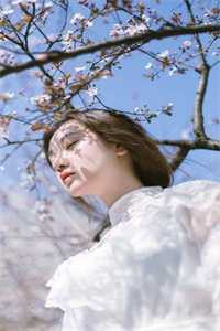 脱轨之恋(洛婳婳陆战霆)完本小说阅读_在哪看免费小说脱轨之恋洛婳婳陆战霆