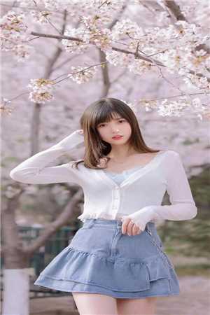 爱已破碎，再无朝暮陆知瑶怀川免费完结小说_免费小说爱已破碎，再无朝暮陆知瑶怀川