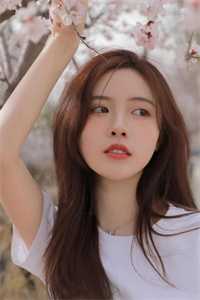 《需要相亲的女人》(李莉李芳)免费阅读_免费小说完整版《需要相亲的女人》李莉李芳