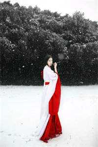 恶毒婶婶抢夺遗宅，宅变作蛇王坟