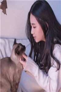 既然再见，便不再见齐时琛时琛免费小说在哪看_热门完本小说既然再见，便不再见(齐时琛时琛)