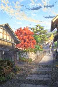 缺爱孤勇者