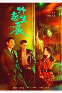 染染梦归：结局+番外（染染梦归：结局+番外）火爆小说全集免费阅读_沈旻阮云笙无弹窗最新章节笔趣阁（染染梦归：结局+番外）