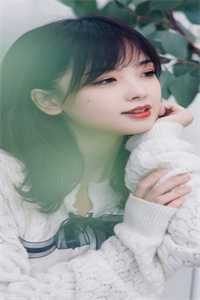 梦碎在风起时
