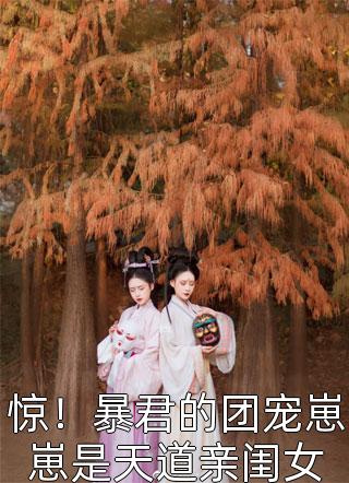 爱如烟火散成灰(沈南汐顾言辞)全文免费小说_小说免费完结爱如烟火散成灰(沈南汐顾言辞)