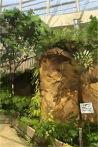 爱意深藏心底：结局+番外+完结（陆明川苏雨晴）完结阅读无弹窗大结局_爱意深藏心底：结局+番外+完结最新章节列表_笔趣阁（陆明川苏雨晴）