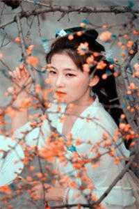 何如当初莫相识(阿若云芷)热门小说推荐_完本小说免费阅读何如当初莫相识阿若云芷