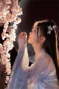蔷薇花未眠