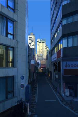 山海不相逢周野忱昭昭全文阅读免费全集_热门小说免费阅读山海不相逢(周野忱昭昭)