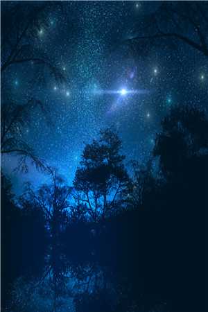 愿执手长夜漫漫